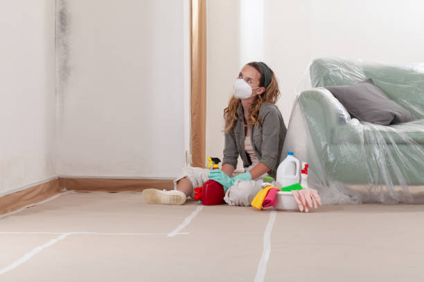 Reliable Mold Remediation contractor in McKinney, TX by Mold Remediation HQ